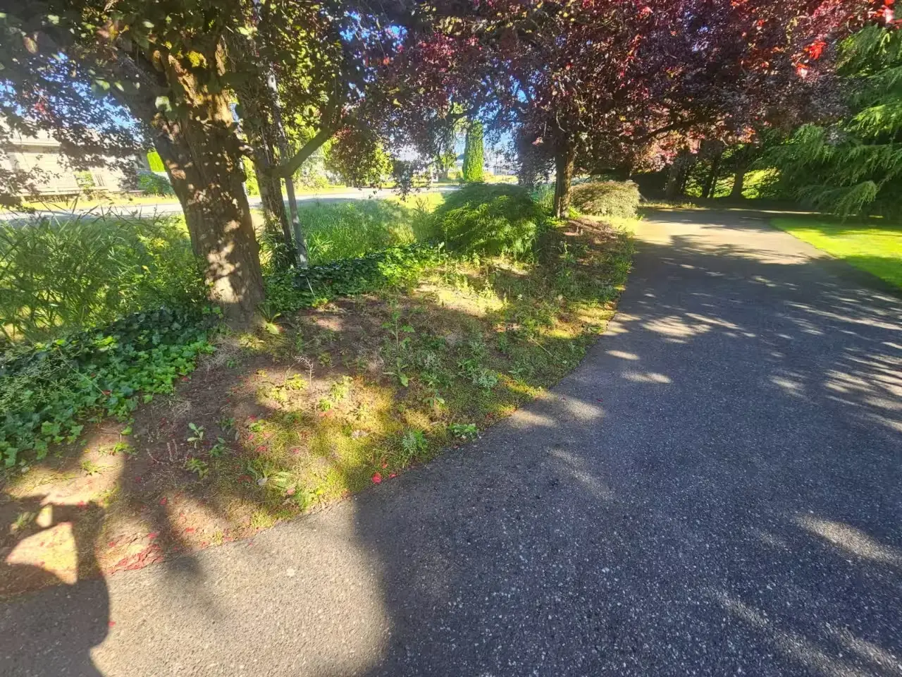 Before and after of a cleared field